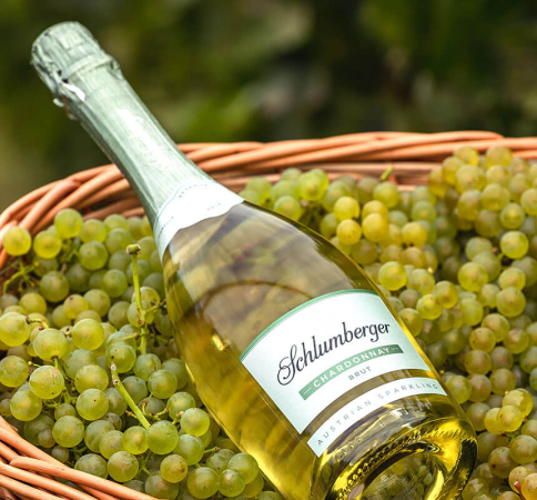 Qualität Ernte Schlumberger Chardonnay