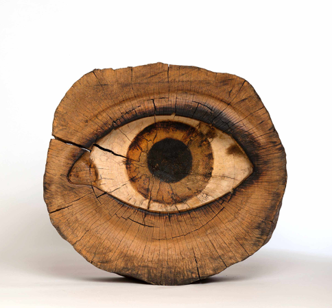 Auge von Mathes