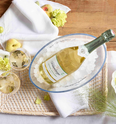 Grüner Veltliner Bio in Kühler auf Tisch