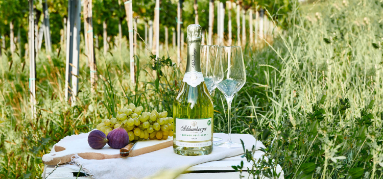 Grünver Veltliner auf weißer Holzkiste mit einem Glas, Feigen und Weintrauben
