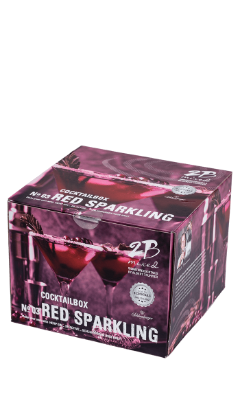 2B Cocktailbox mit Gin, 2 Schlumberger Rosé Brut, 2 2B Active Dosen