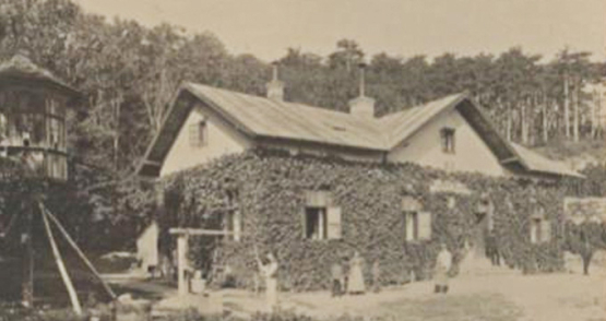 Gepachteter Zehentkeller in Bad Vöslau von Robert Schlumberger