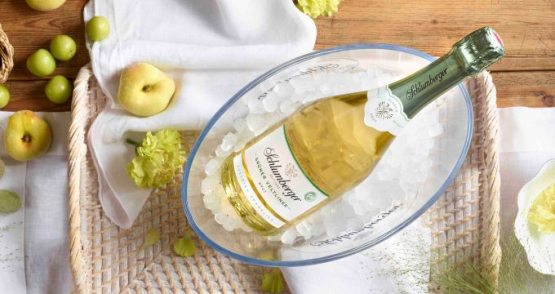 Flasche Grüner Vetliner Bio liegt in einem Kühler mit Eiswürfel