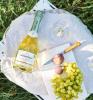 Grüner Veltliner Bio beim Picknick